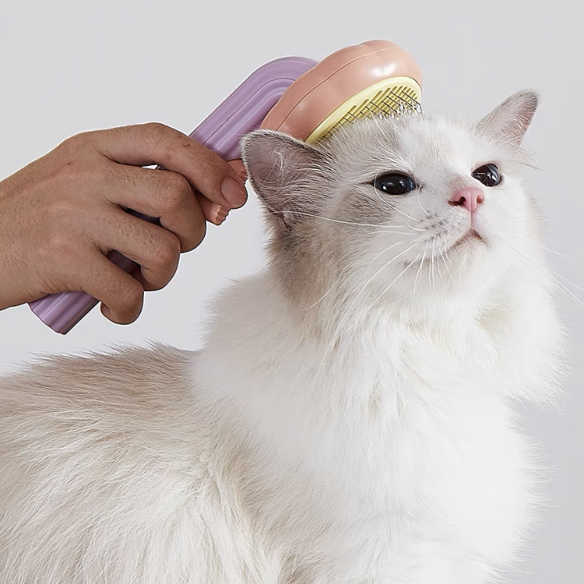 Self-Cleaning Pet Grooming One-Click Hair Brush - Sunflower