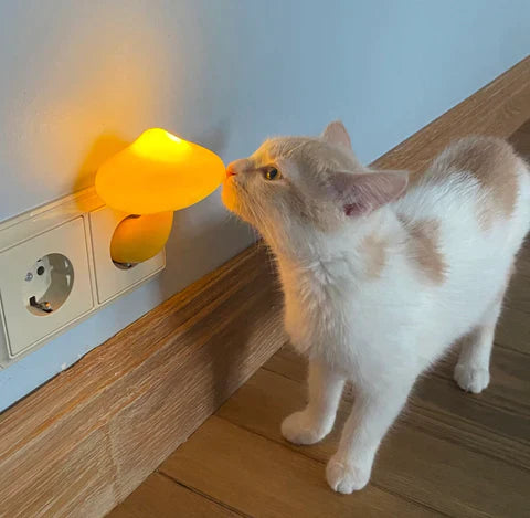 The Acusey™ Mushroom Light